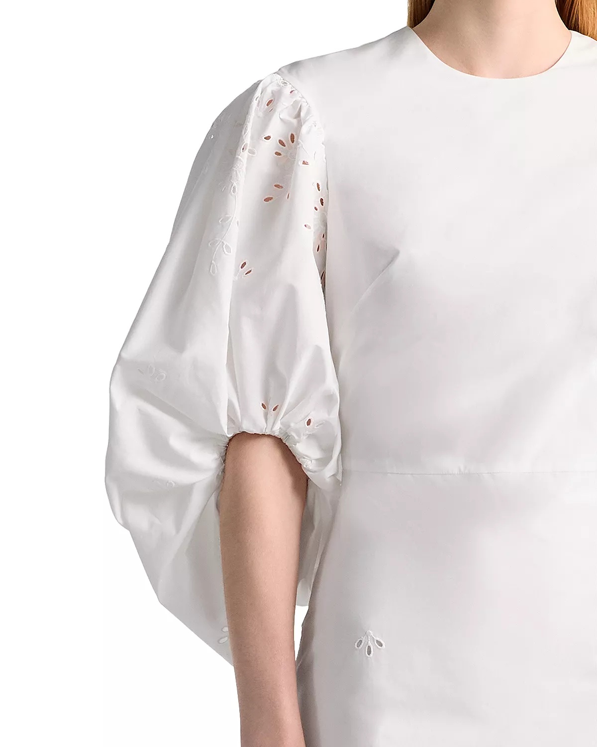 Danielle Eyelet Balloon Sleeve Dress - 2