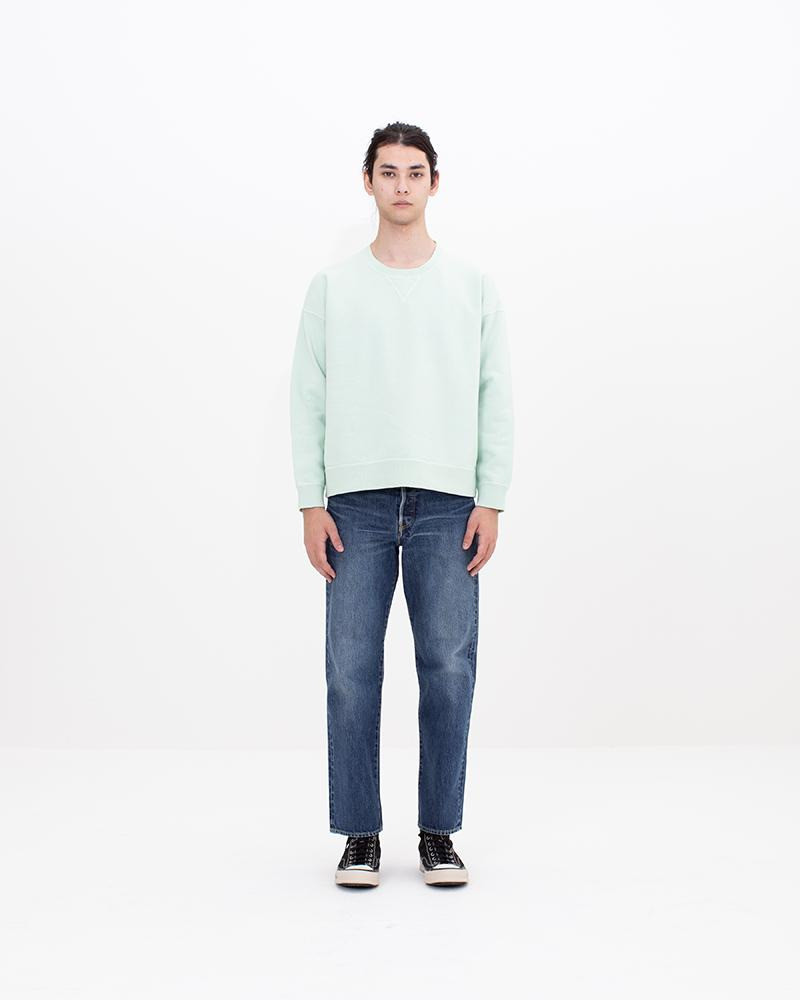 visvim JUMBO SB SWEAT L/S DMGD LT.GREEN outlook