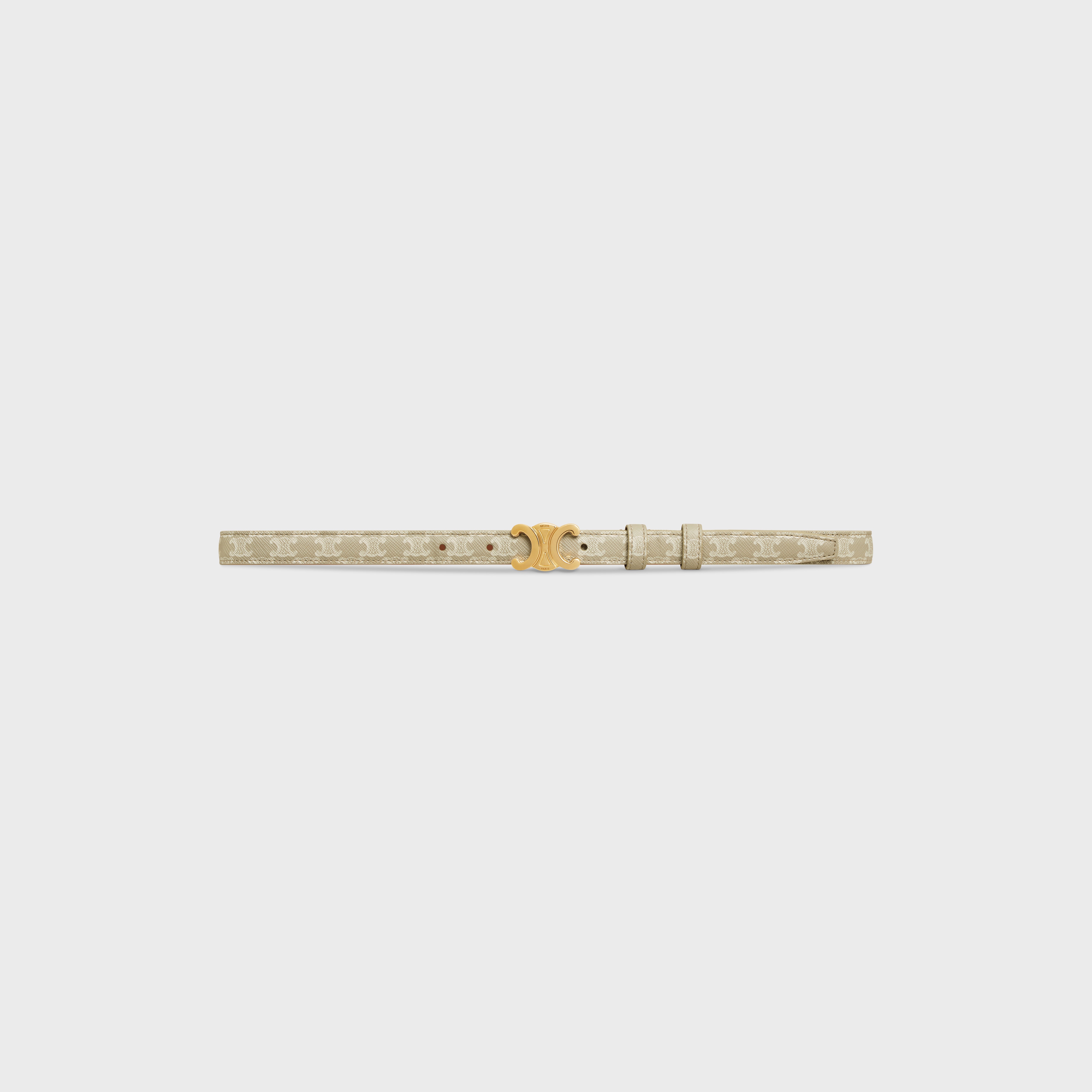 Small Triomphe Belt in Triomphe canvas - 1