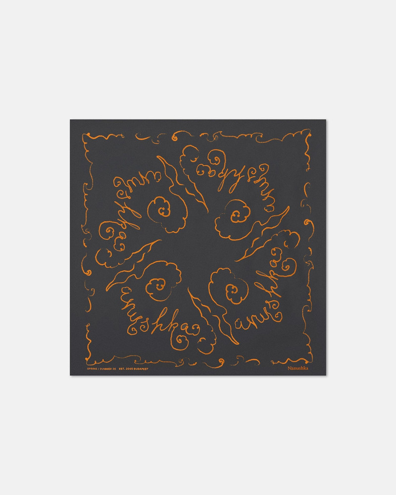 Printed Silk Scarf 1