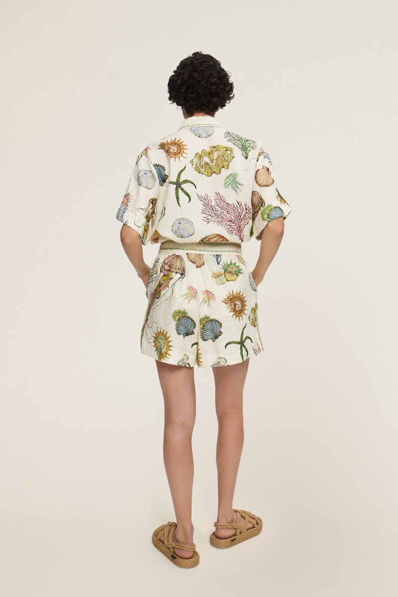 Sea Short 6