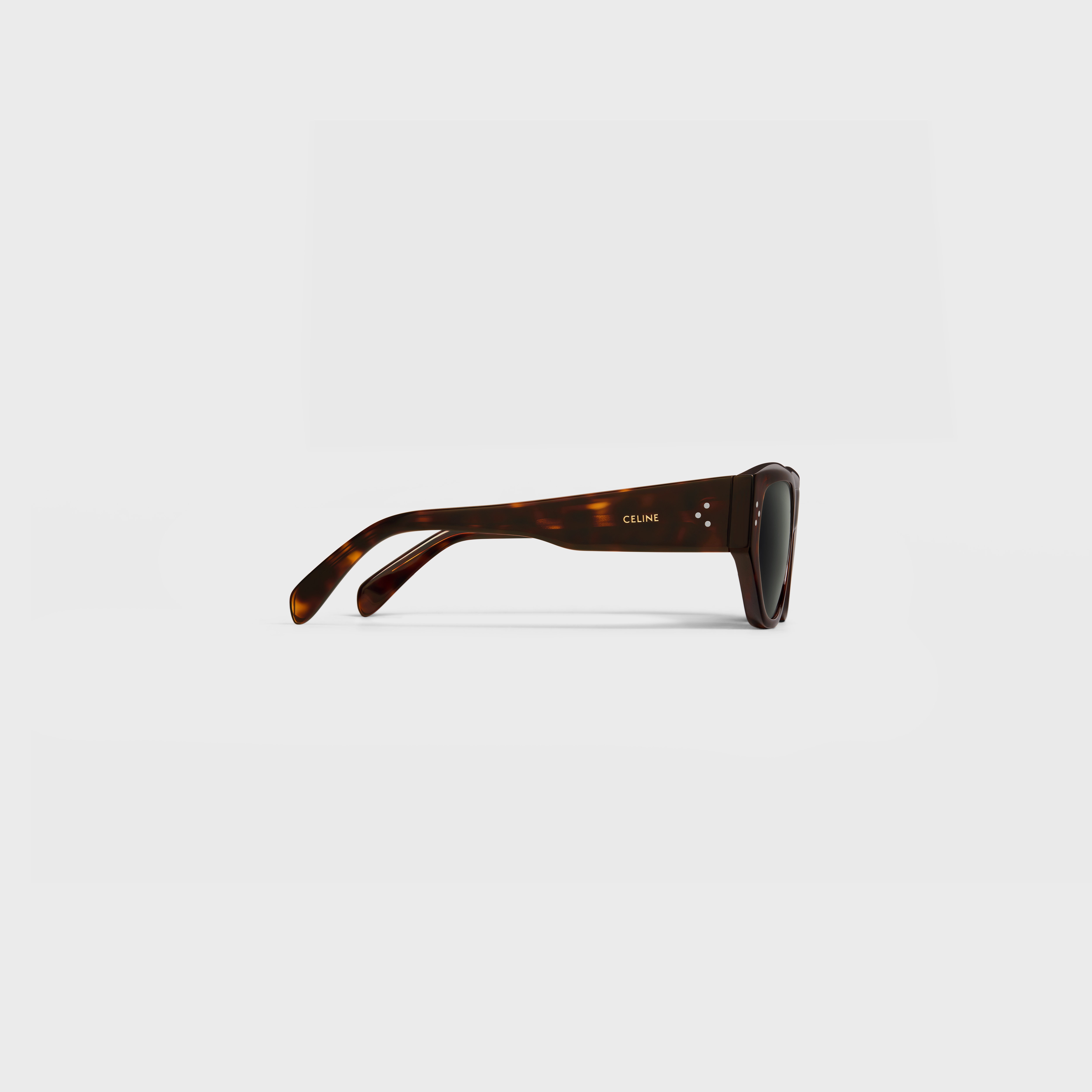 Graphic S219 sunglasses in Acetate - 3