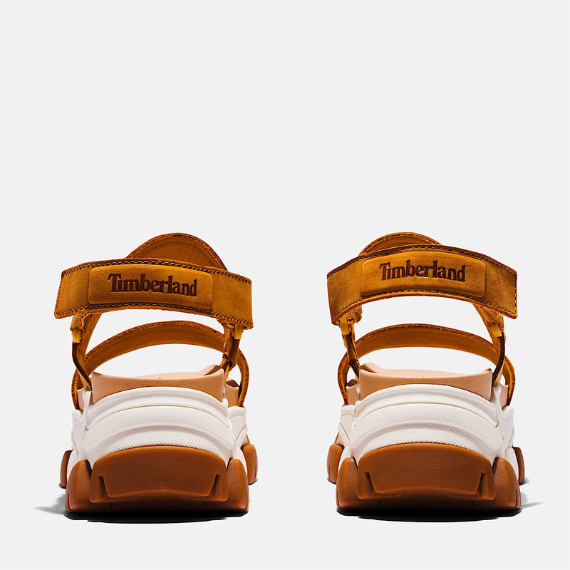 Women’s Adley Way Backstrap Sandal 5