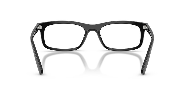 RB5450 OPTICS 6