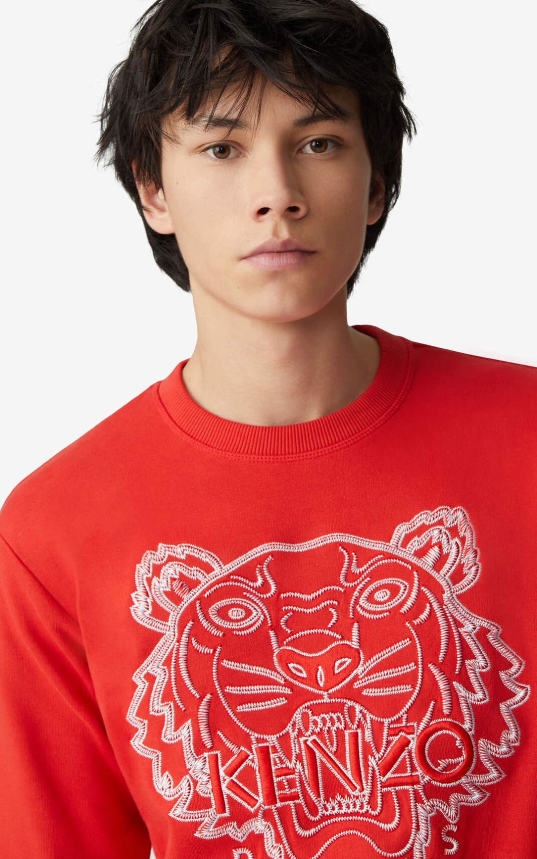 Tiger sweatshirt - 3