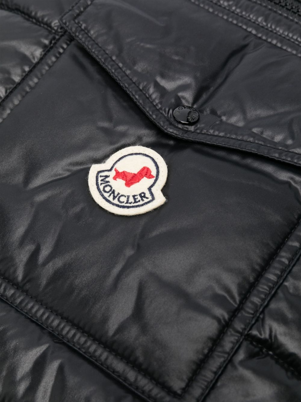 dog vest - 3