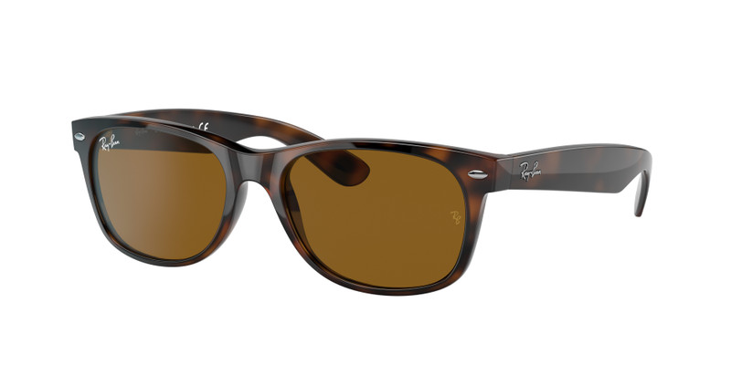 NEW WAYFARER CLASSIC 3