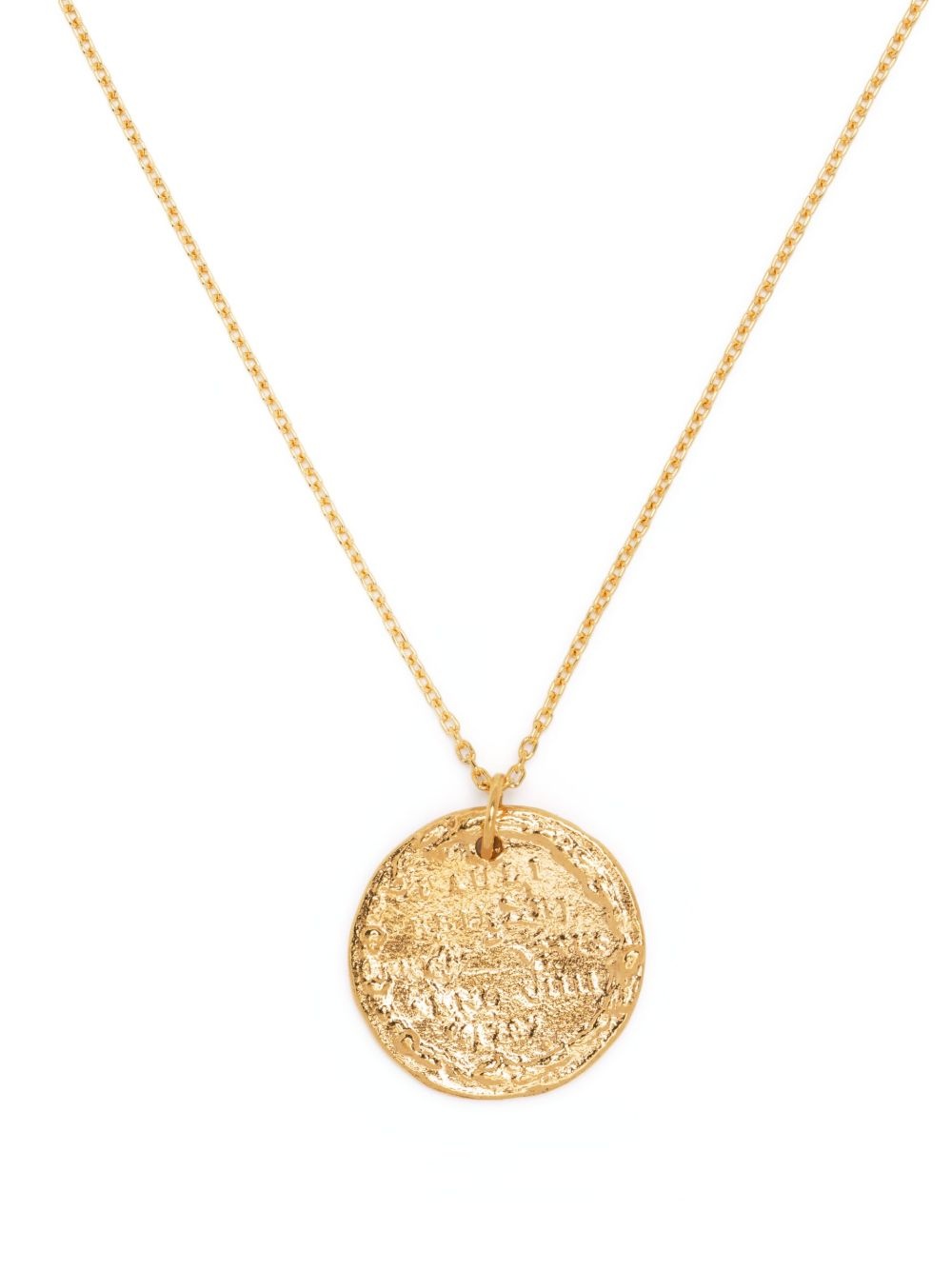 Leone Medallion necklace - 1