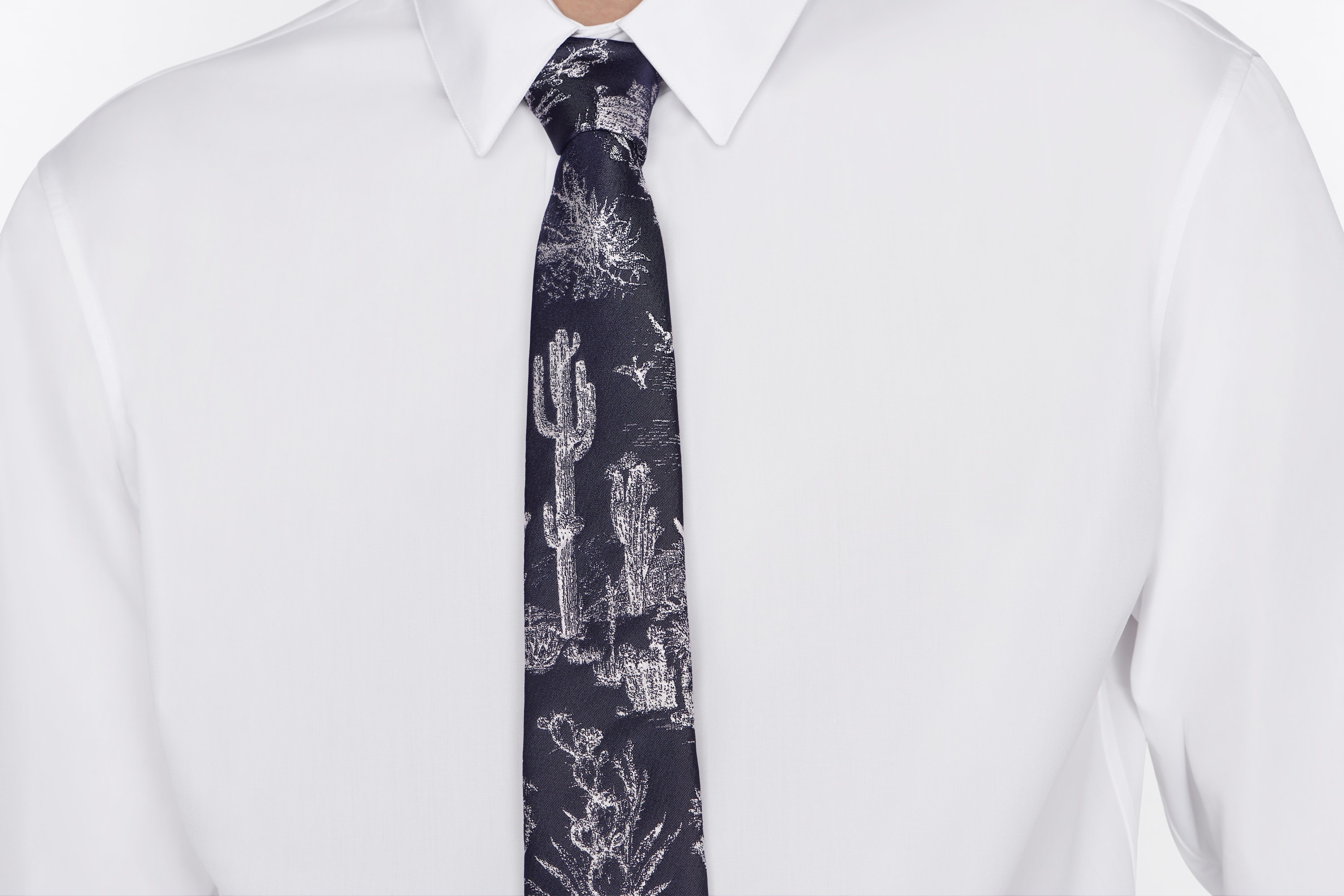 Dior CACTUS JACK DIOR Tie | REVERSIBLE