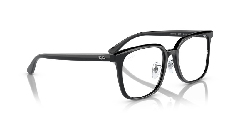 RB5419 OPTICS 7