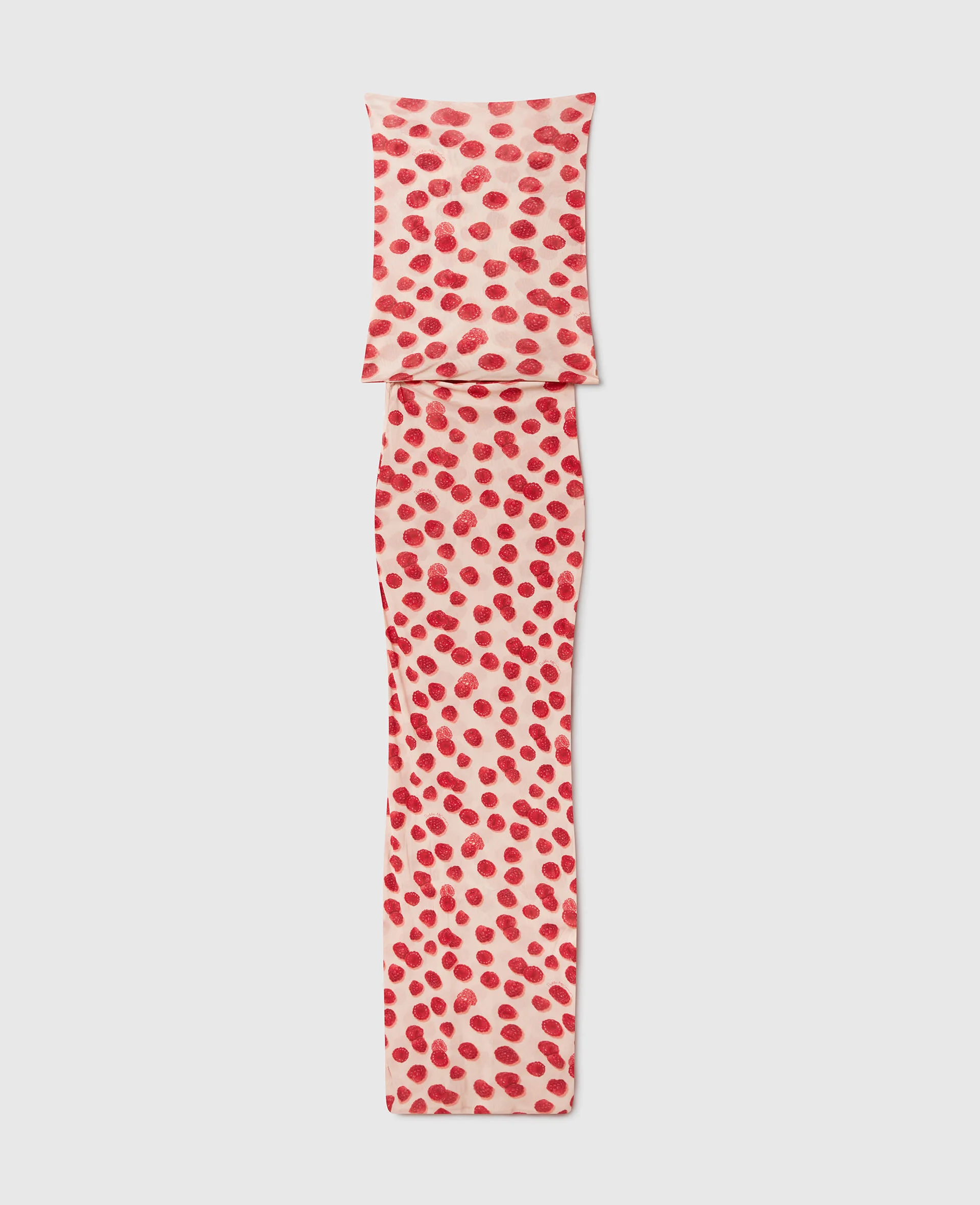 Raspberry Print Mesh Maxi Dress - 1