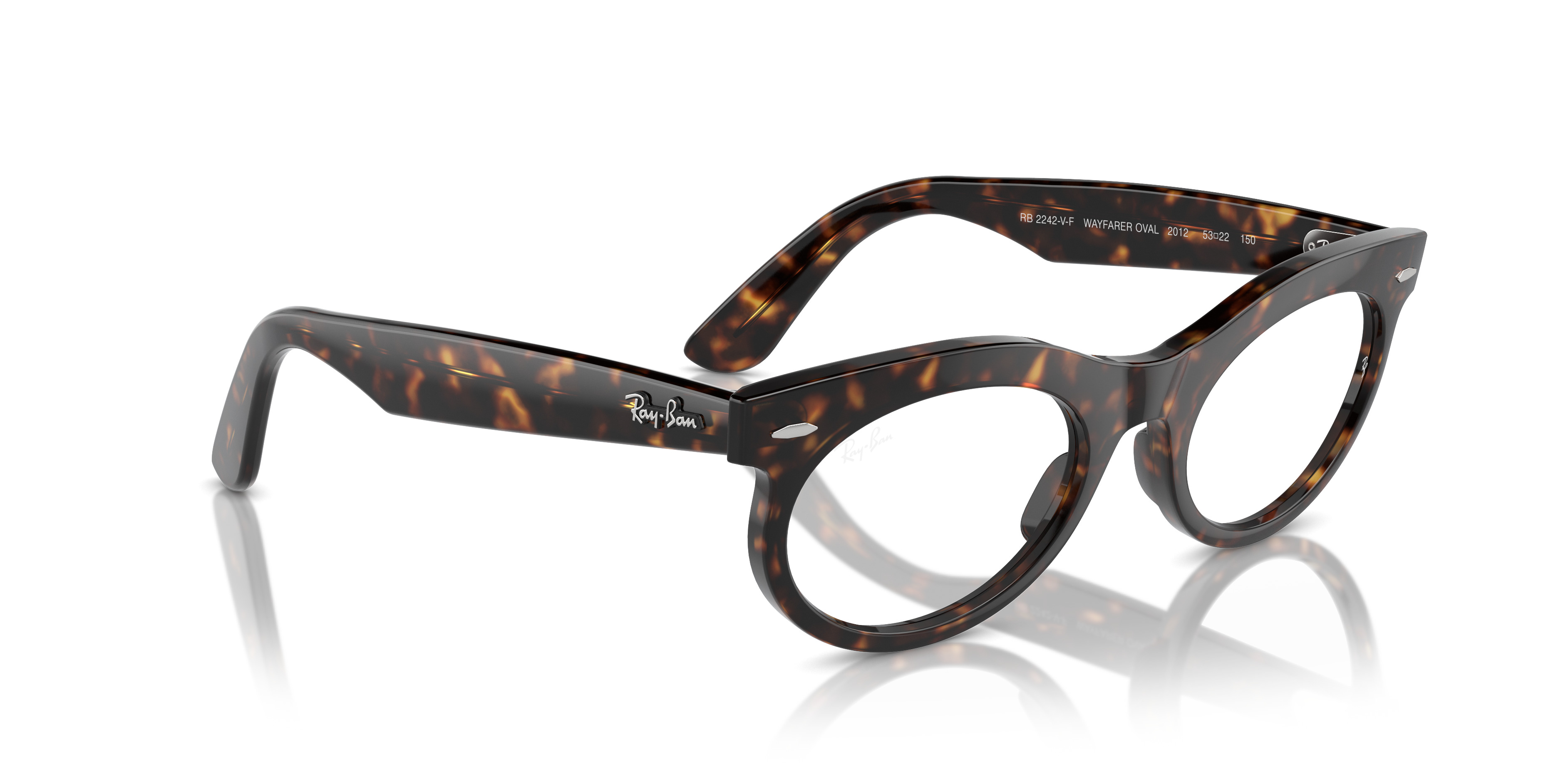 WAYFARER OVAL OPTICS - 7