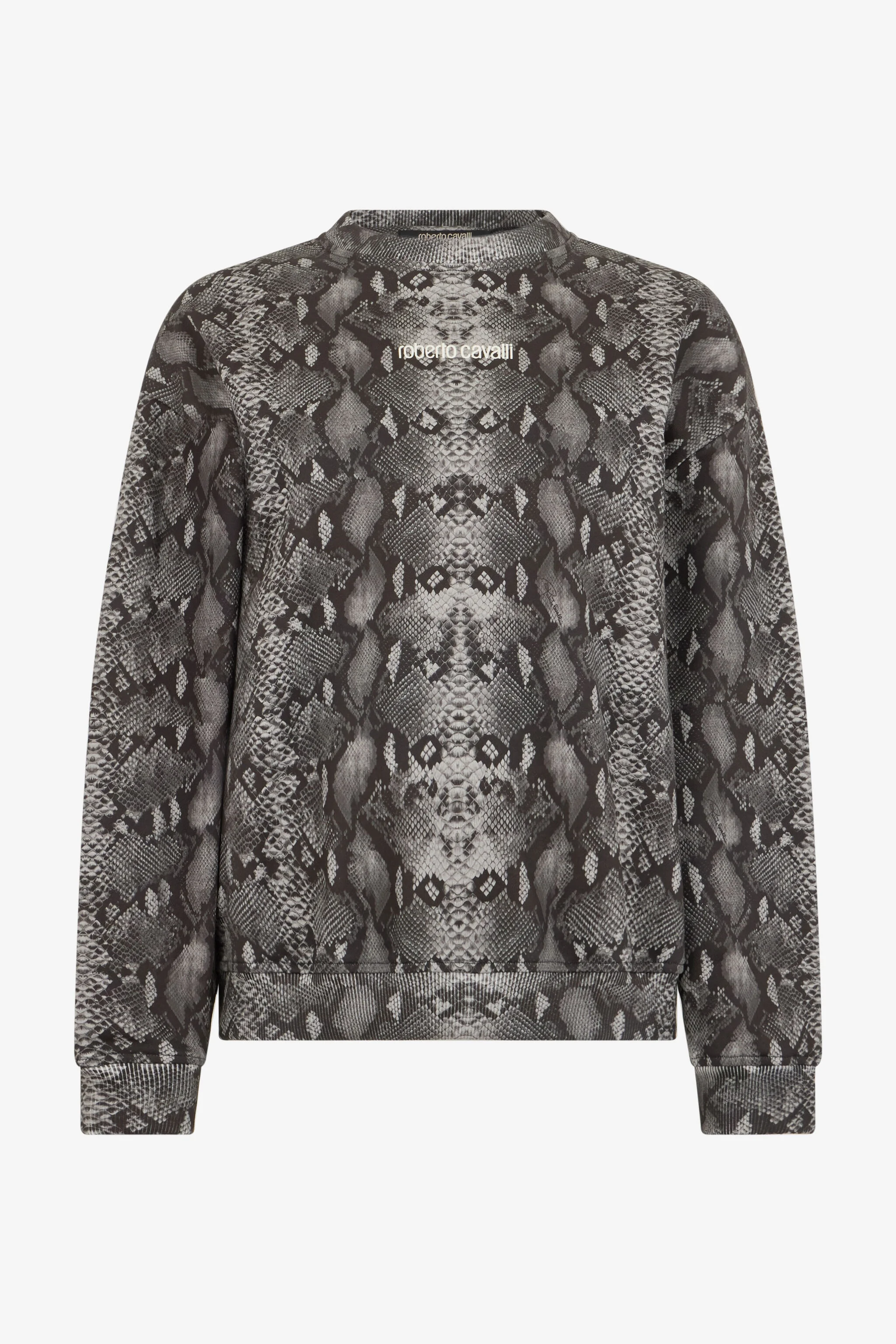 Python Print Sweatshirt - 1