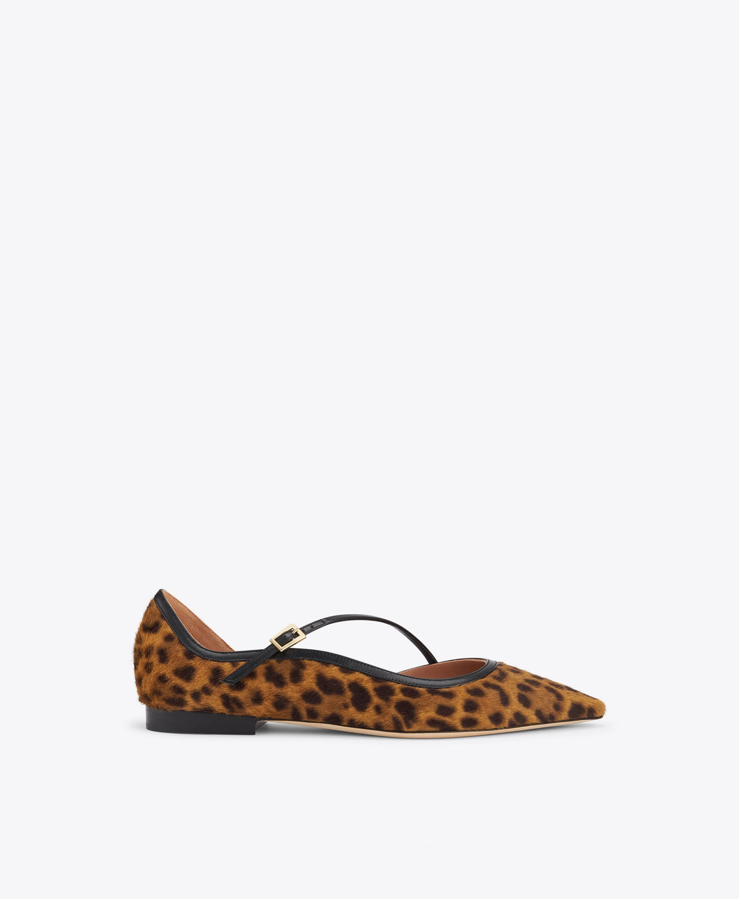 Bettina Leopard-print Calf Hair Flat Pumps - 1