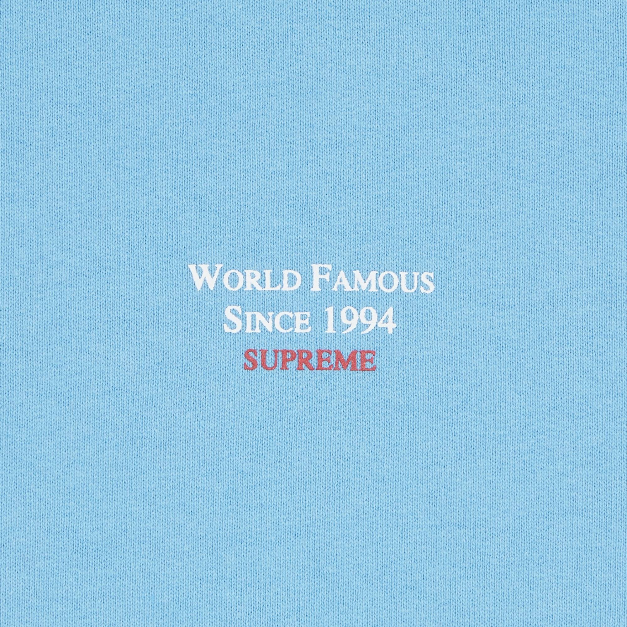 Supreme World Famous Micro Hooded Sweatshirt 'Light Blue' - 2