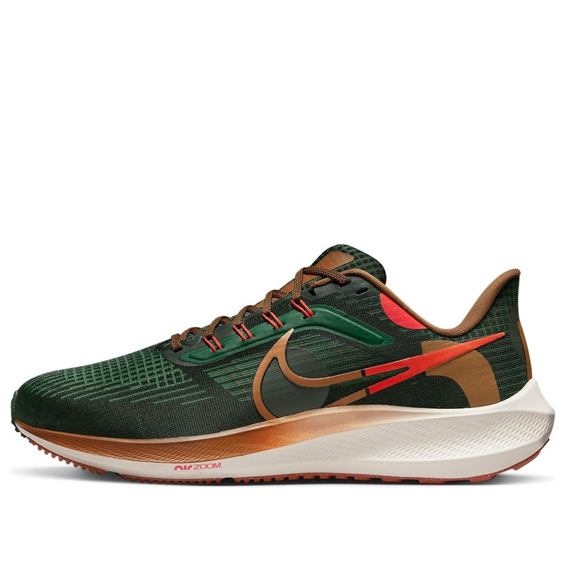 Nike Hola Lou x Air Zoom Pegasus 39 'A.I.R.' DO9500-300 - 1