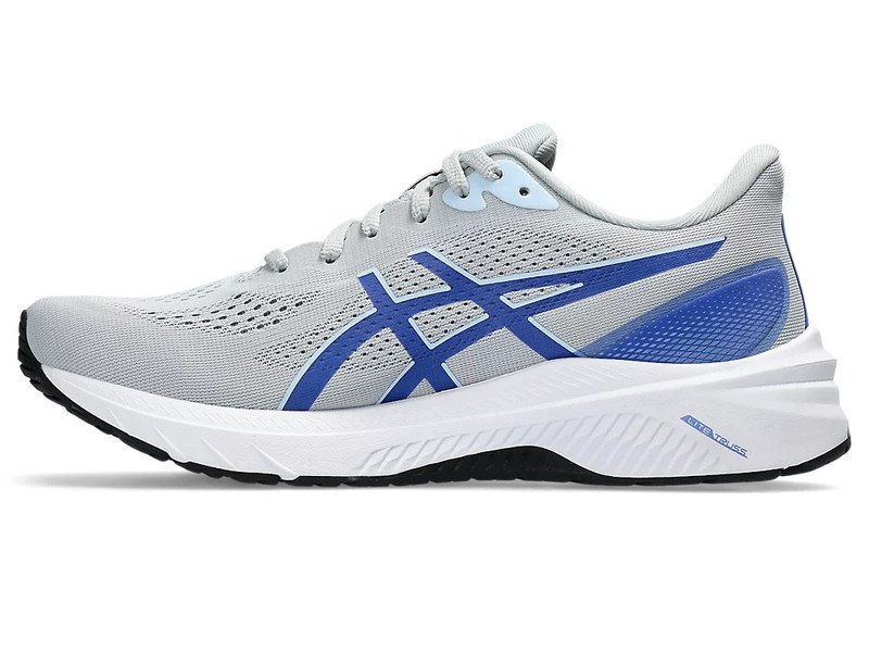 Asics GT-1000 12 outlook