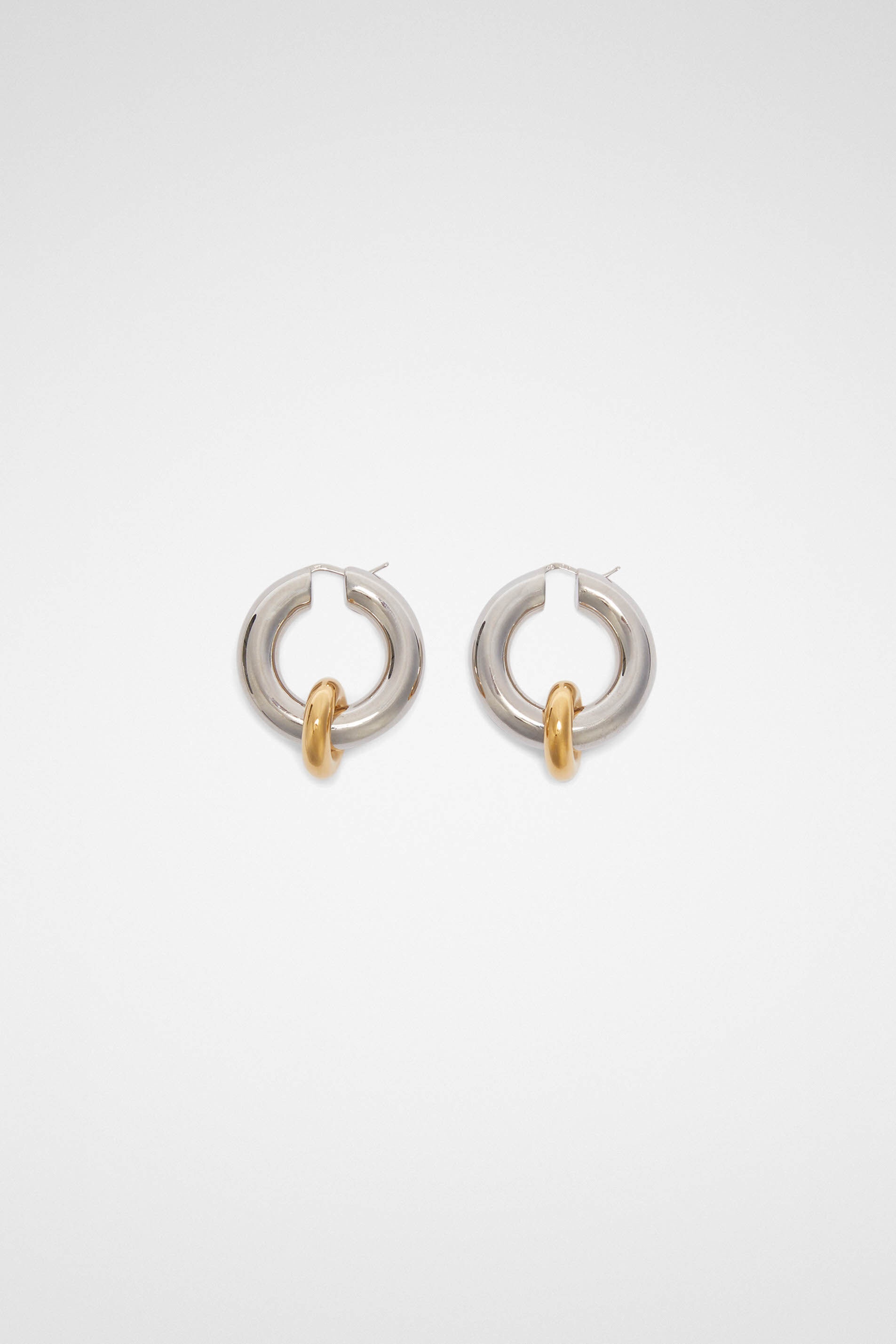 Earrings - 1