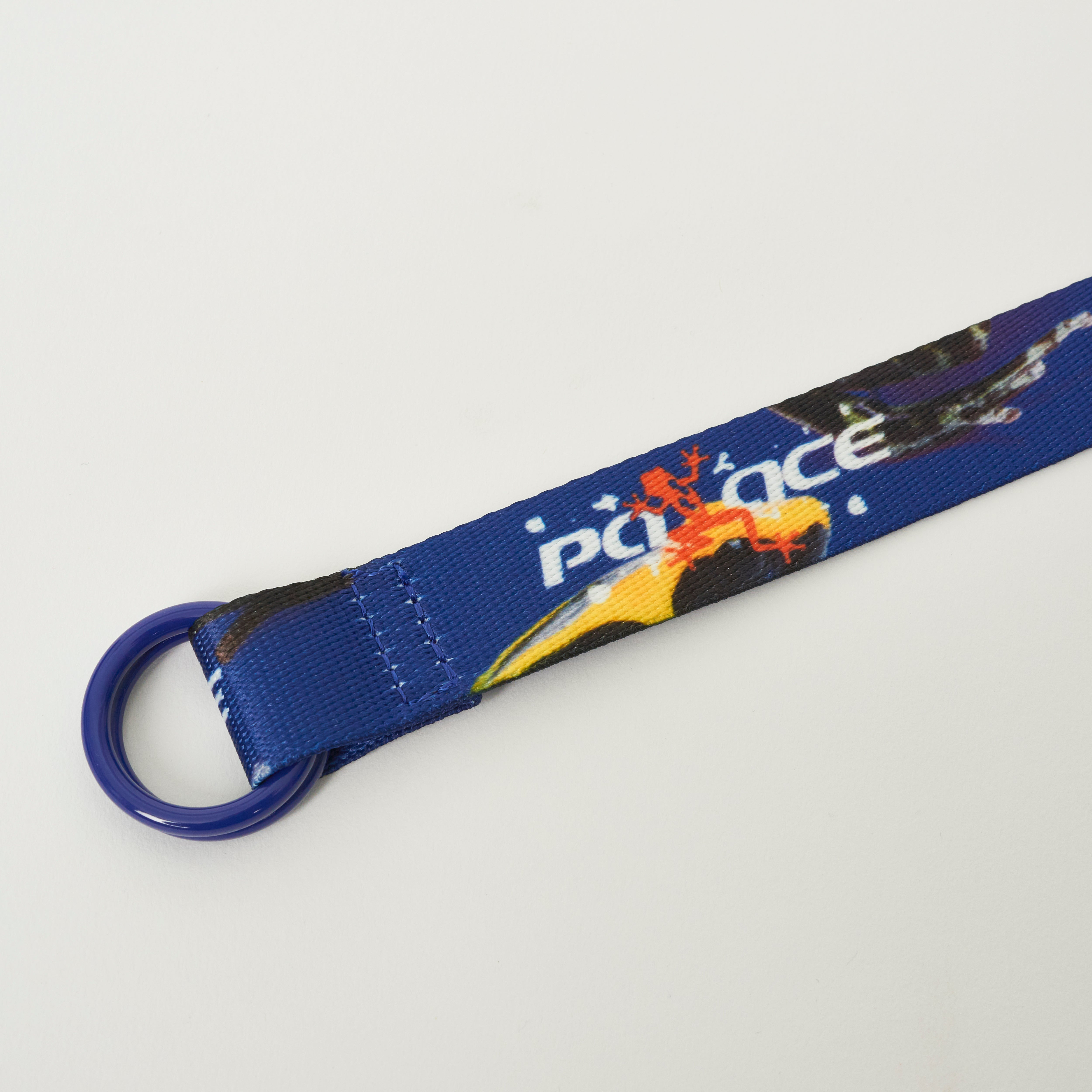 FROGGER BELT BLUE / MULTI - 2