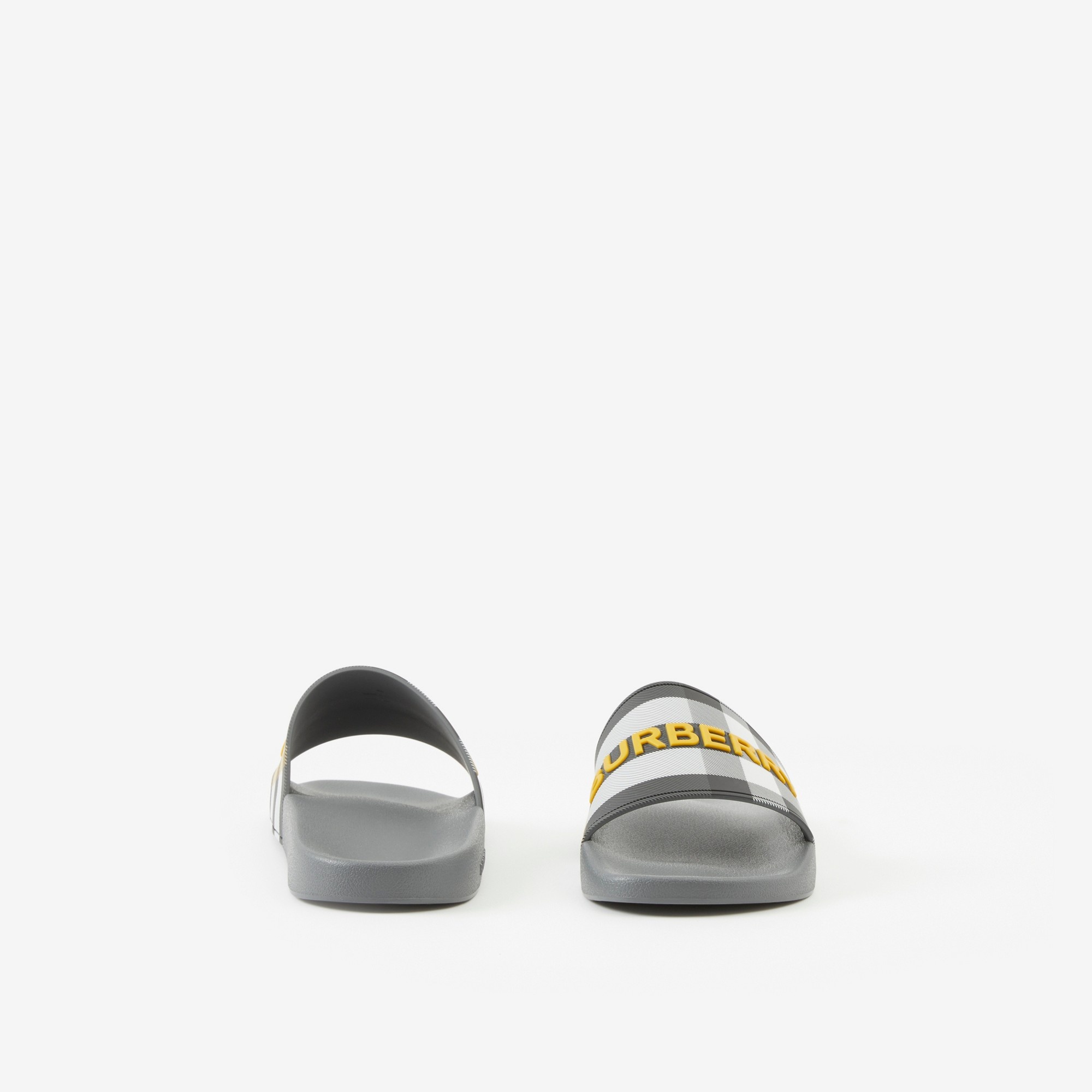 Logo Detail Check Slides - 4