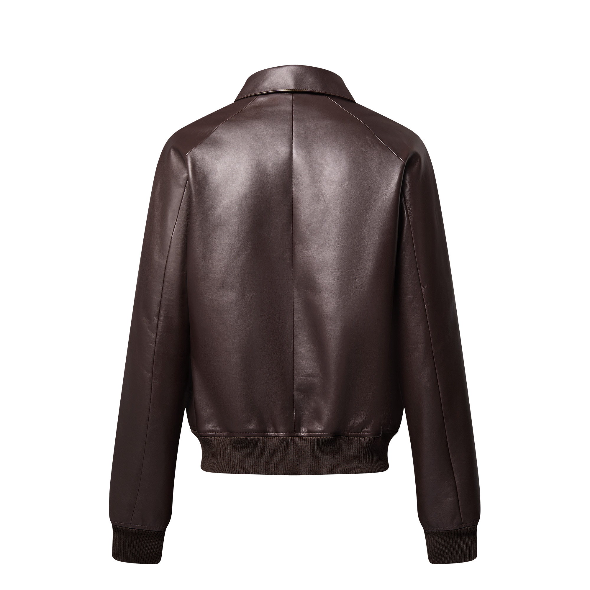 Elegant Leather Bomber - 4