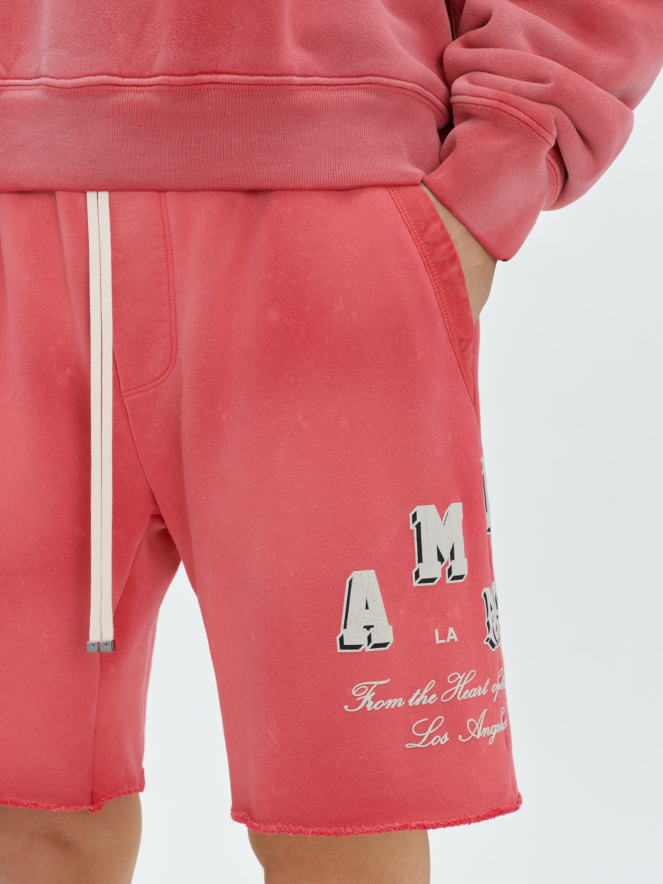 VINTAGE COLLEGIATE SHORTS - 6