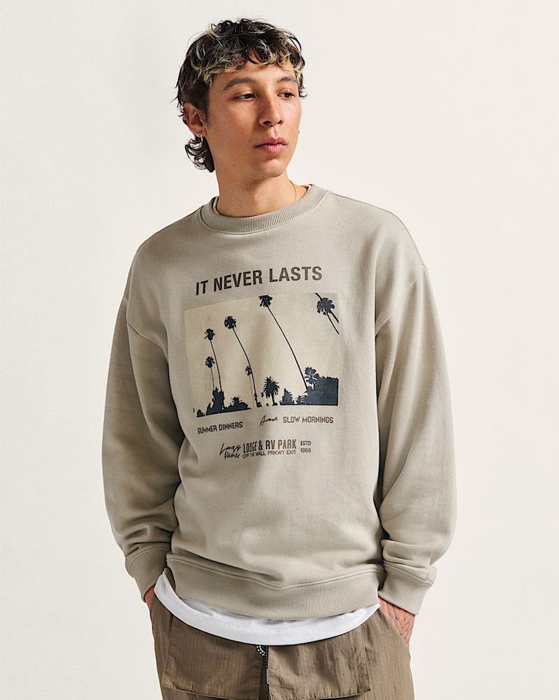 Vans Photo Neverlasting Crew Sweatshirt outlook