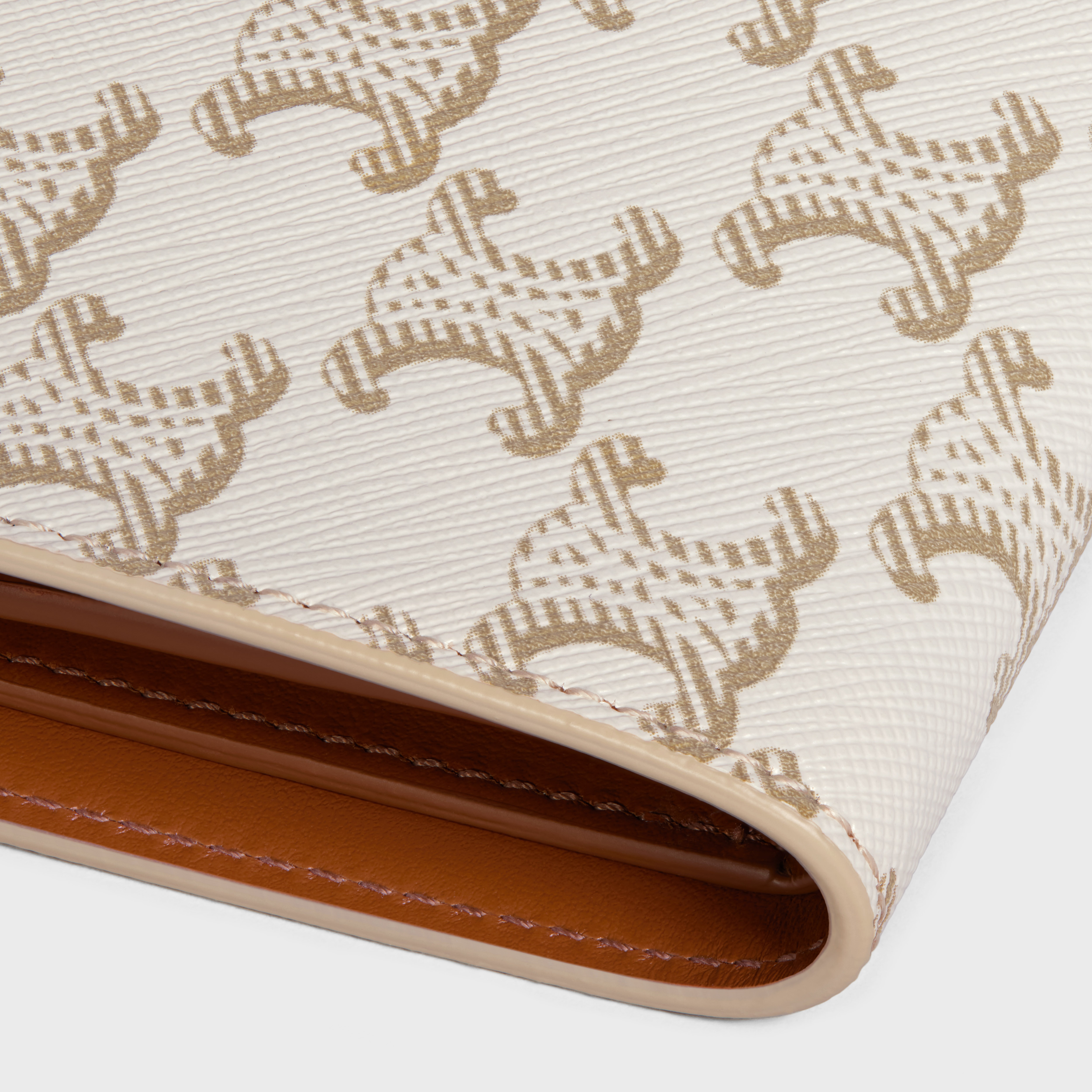 Medium strap wallet in Triomphe Canvas and Lambskin - 5
