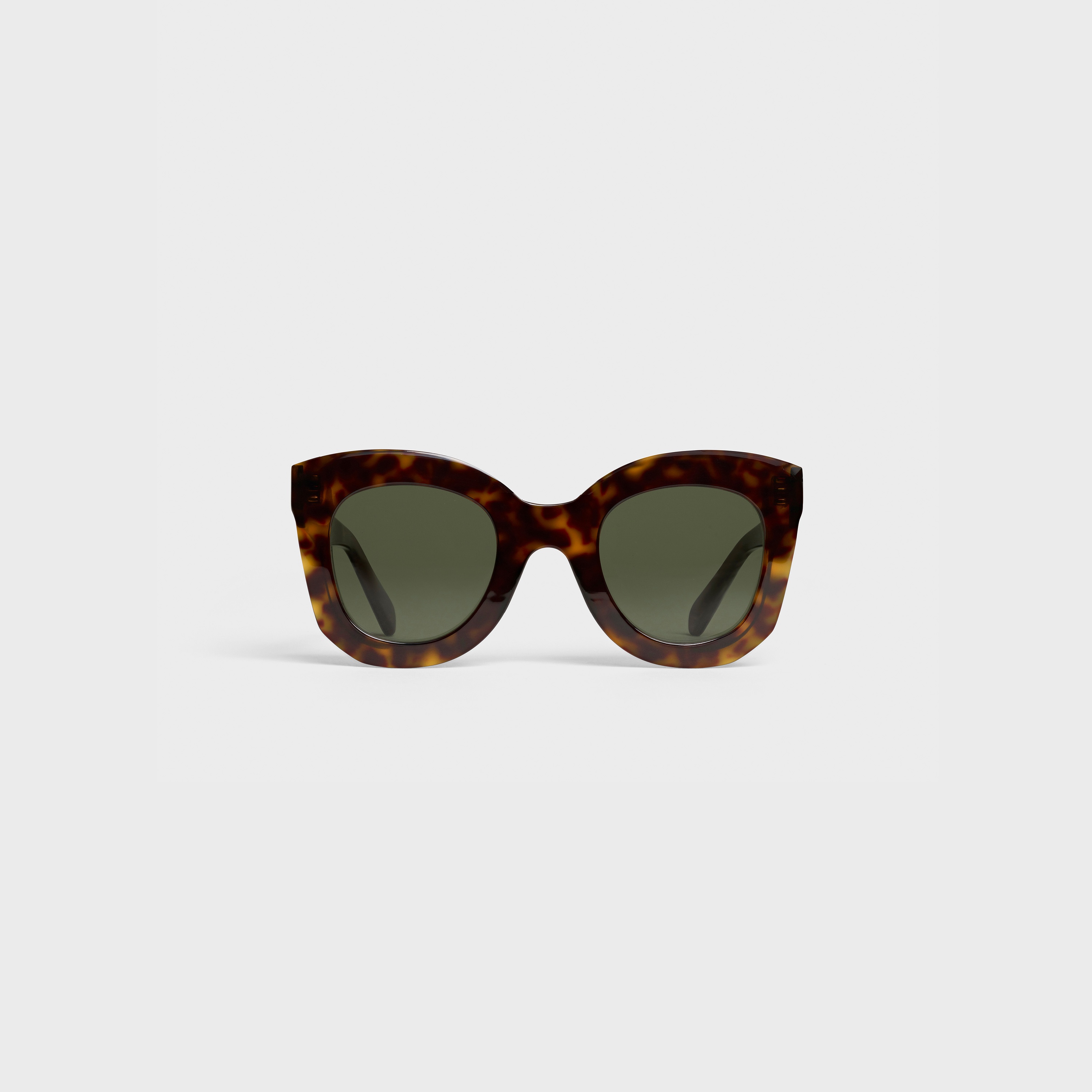Butterfly S005 Sunglasses in Acetate - 1