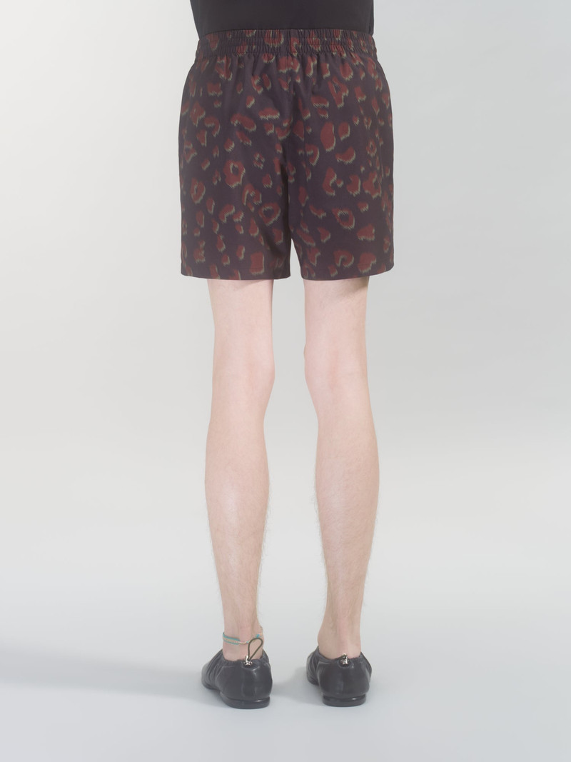 LEOPARD SWIMSHORTS 4