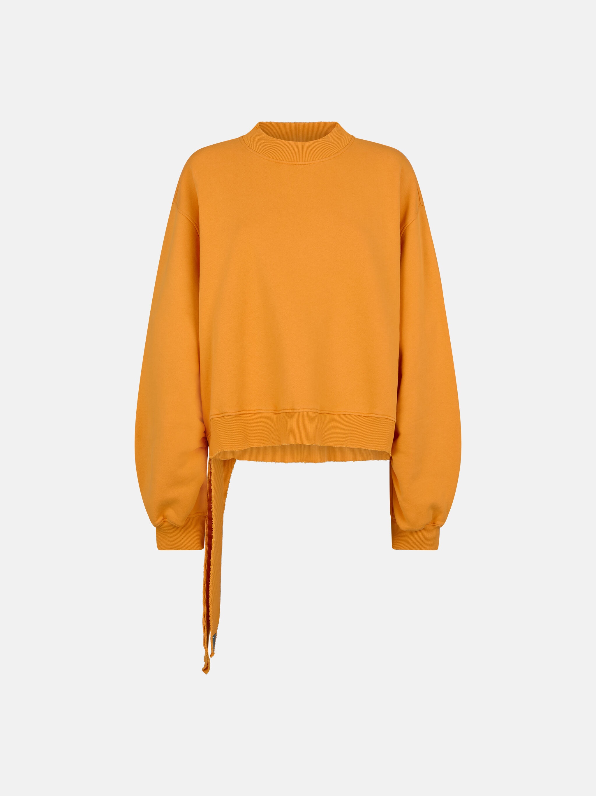 ''PET''  PUMPKIN SWEATSHIRT - 1