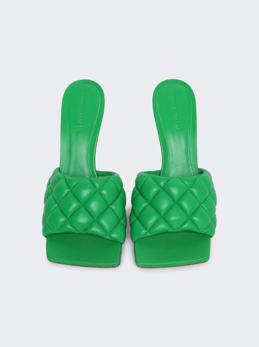 Padded Sandal Parakeet - 4