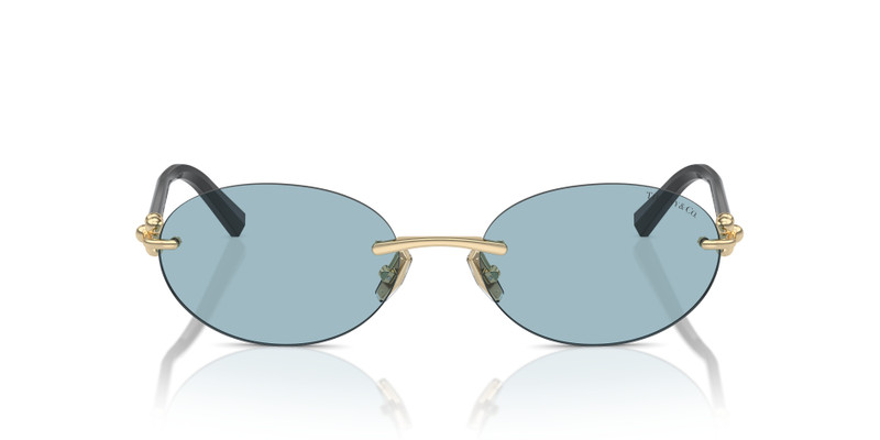 Tiffany & Co. TF3104D outlook
