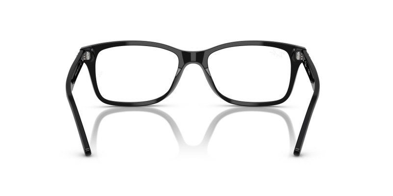 RB5428 OPTICS 6