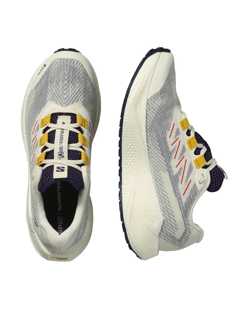 SALOMON AERO BLAZE 3 GRVL GORE-TEX outlook