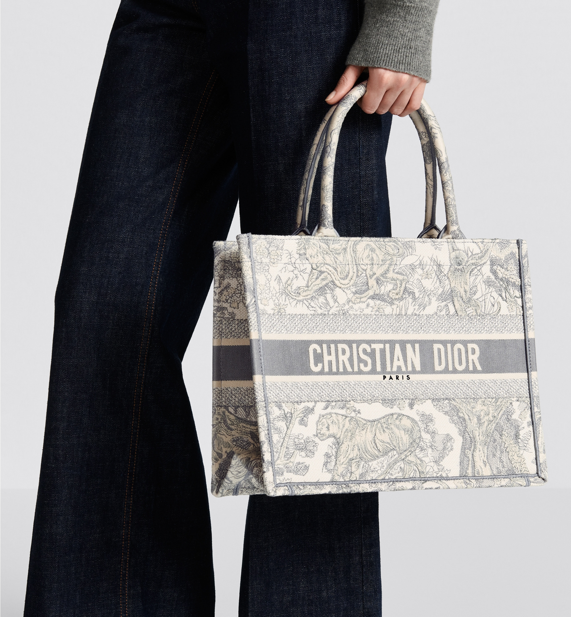 Medium Dior Book Tote - 2
