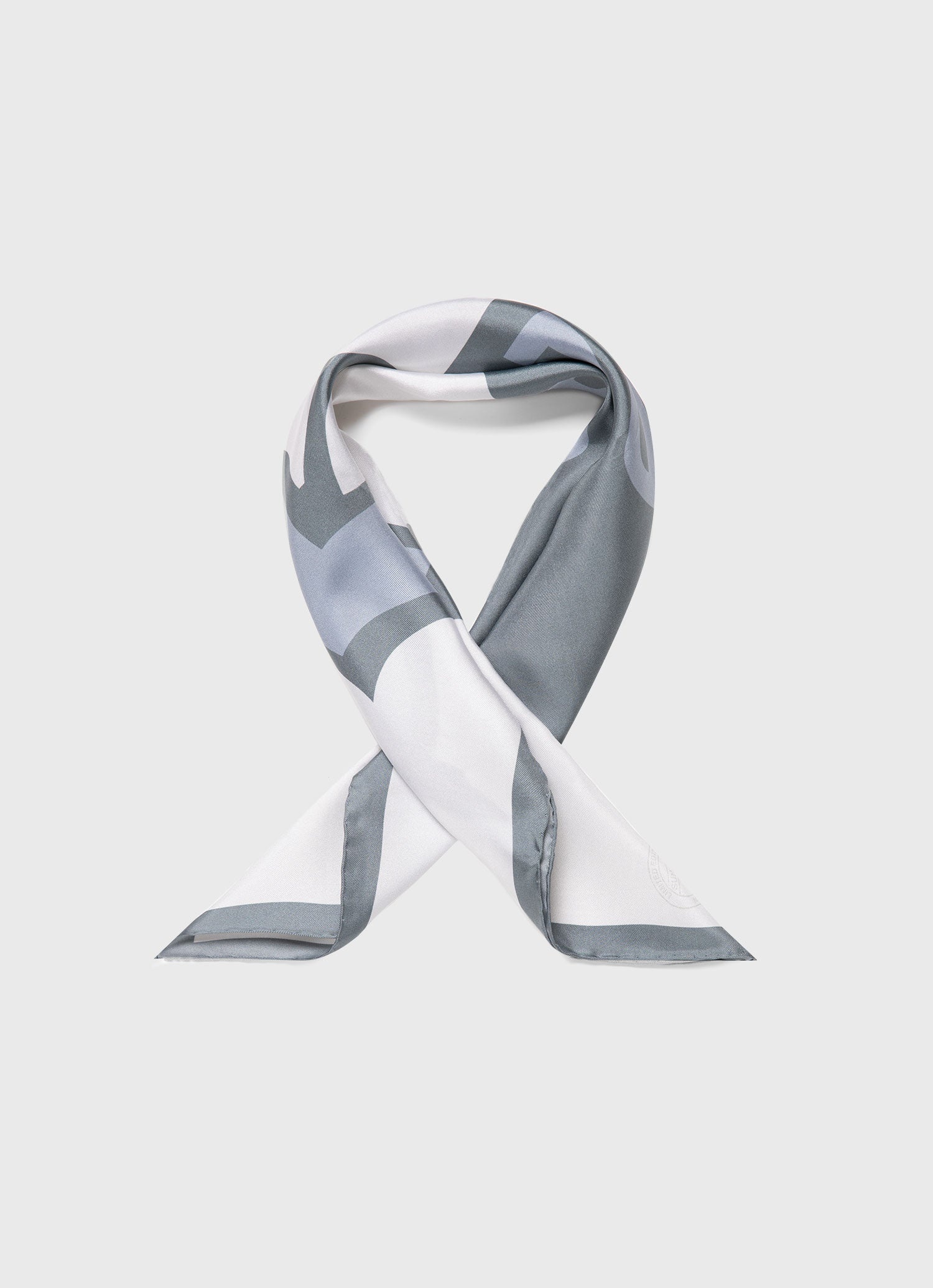 Silk Scarf - 2