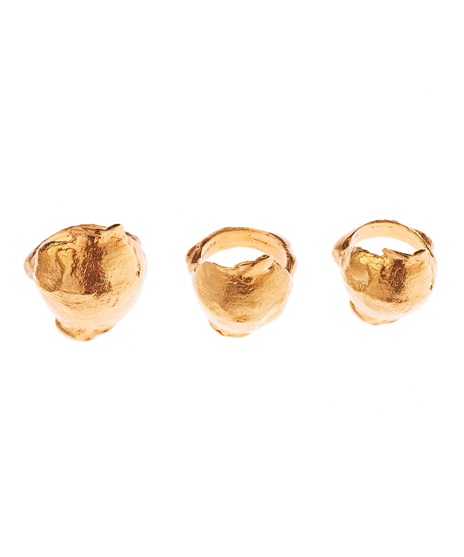 ALIGHIERI - The Forbidden Cloister Single Ring - 1