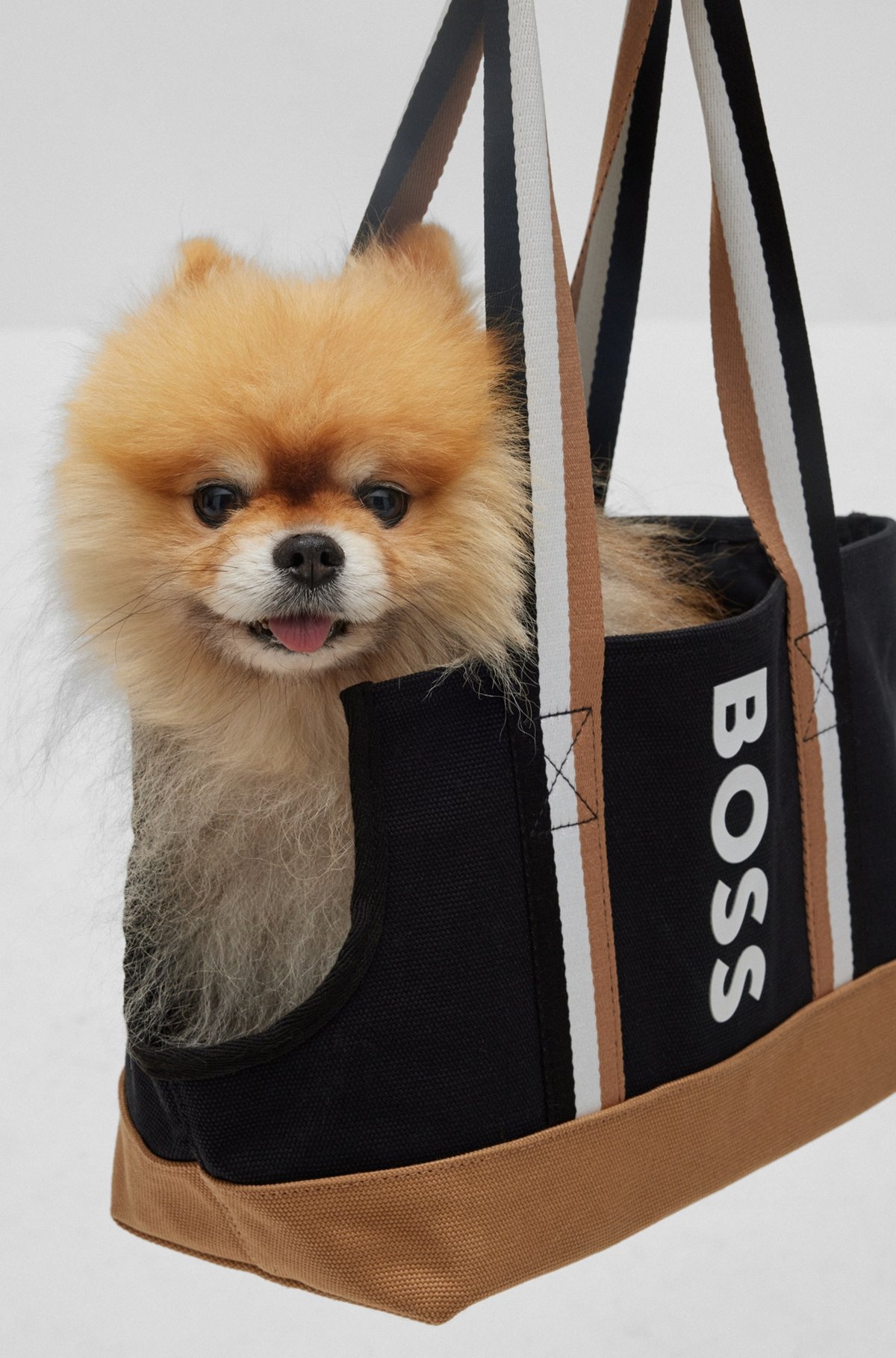 LOGO COTTON-CANVAS TOTE BAG FOR DOGS - 4