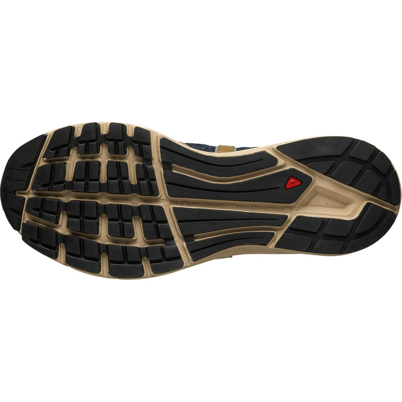 SALOMON TECHSONIC FOR GRAMICCI outlook