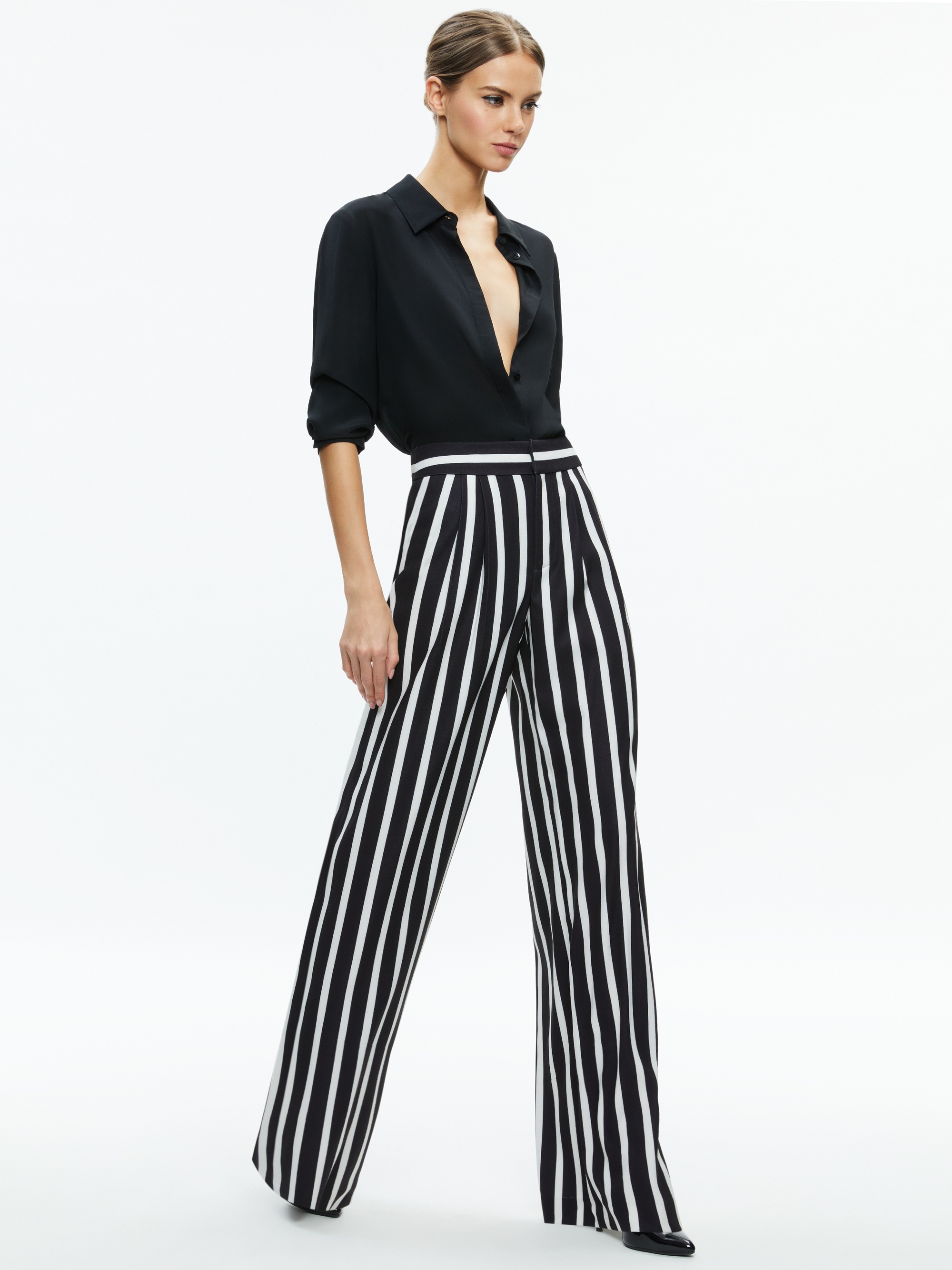 POMPEY HIGH WAISTED PLEATED PANTS - 6