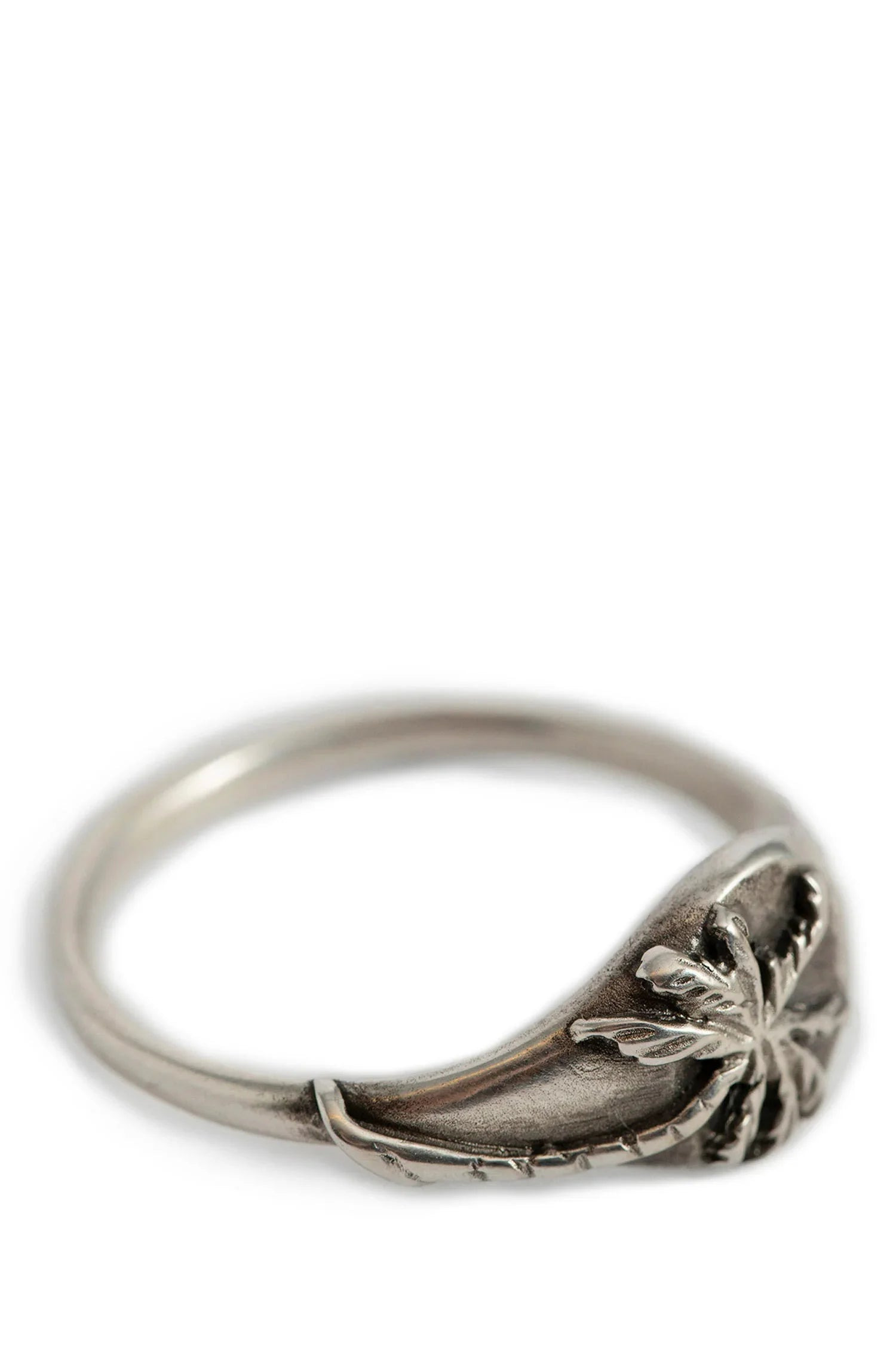 Palm-Ring - 4