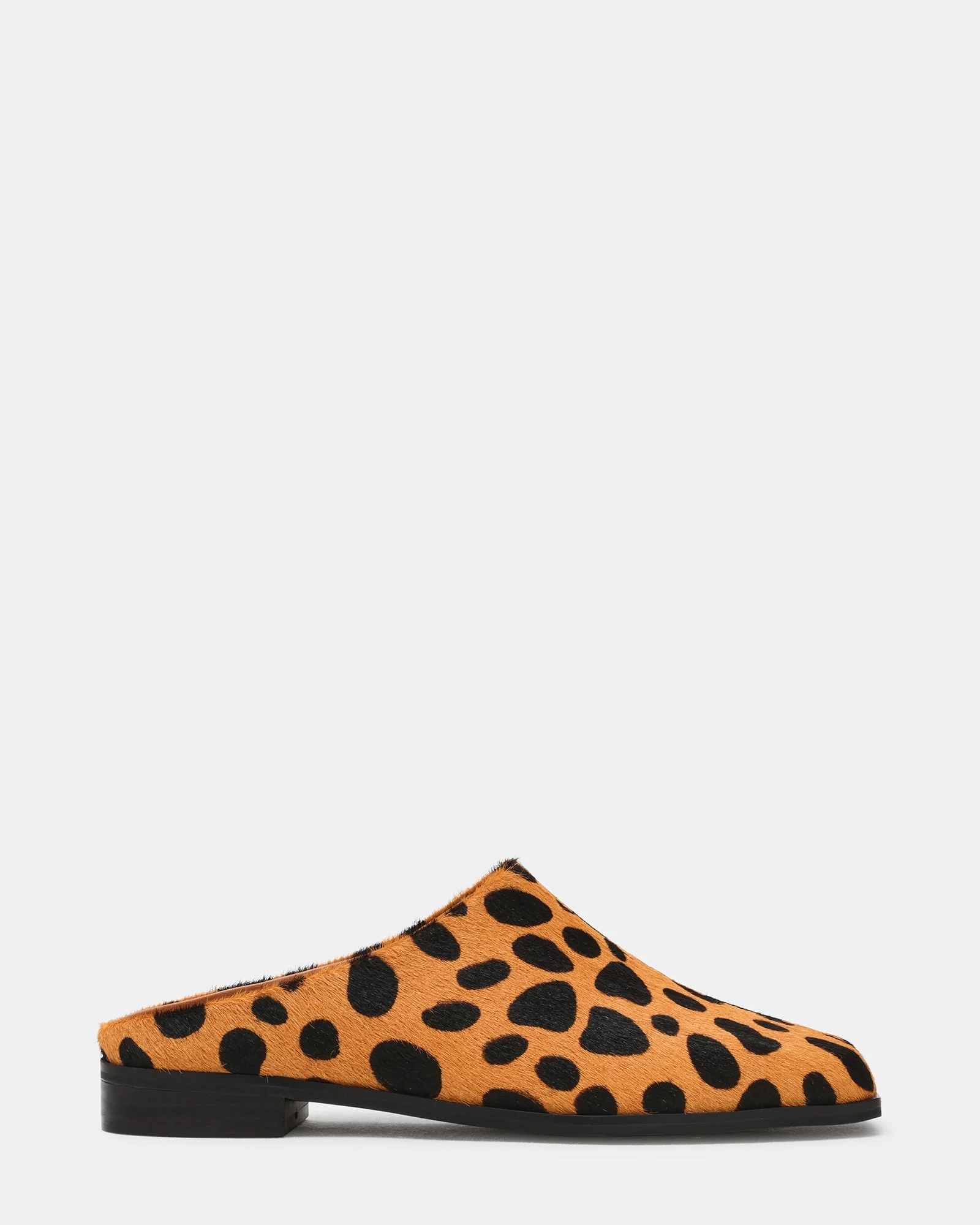 DELPHY SPOTTED LEOPARD - 1