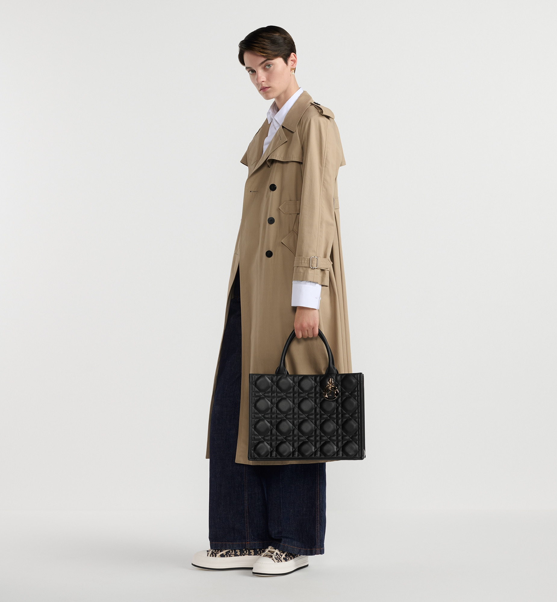 Medium Dior Book Tote - 8