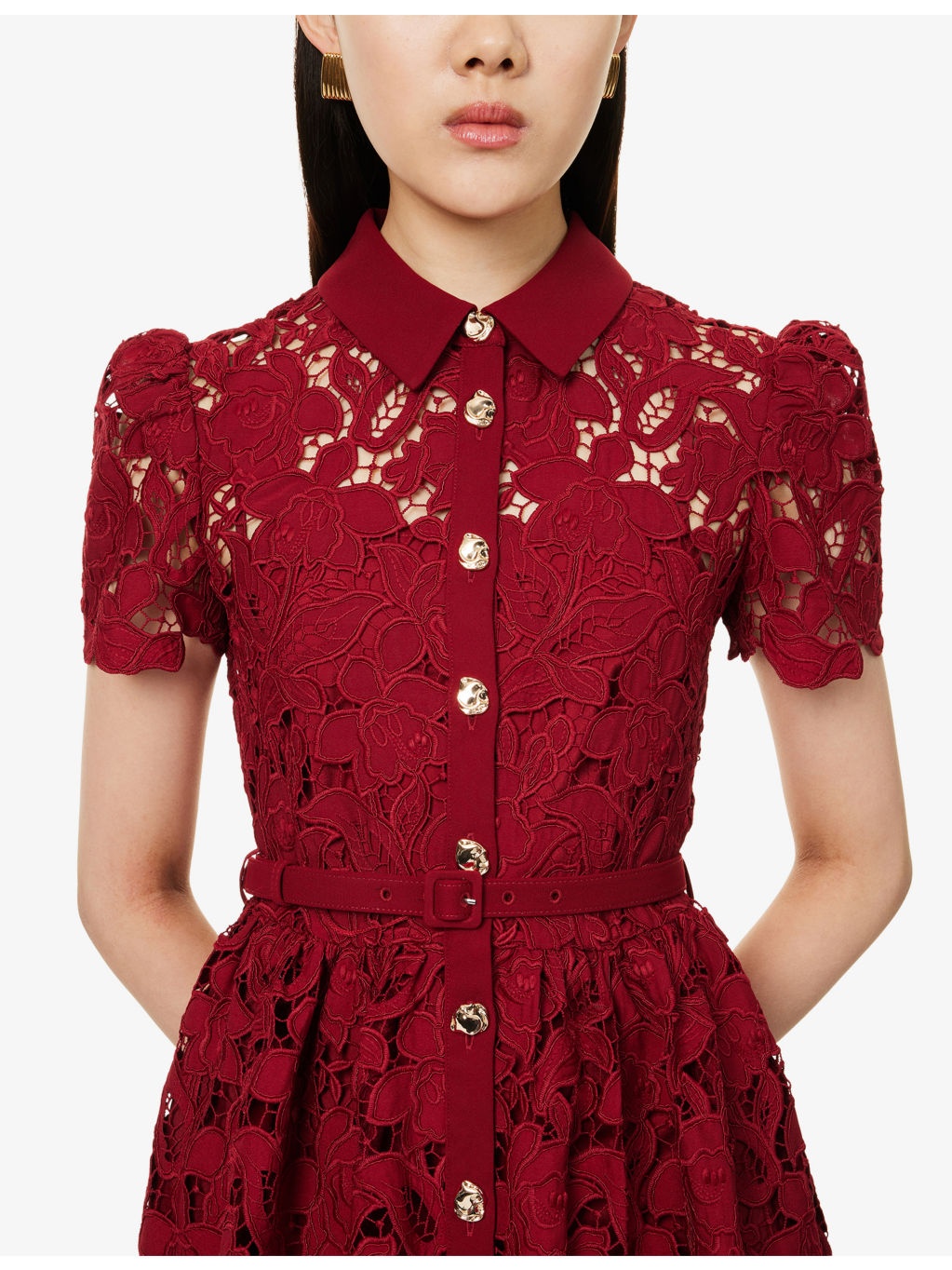 Embroidered Collared Lace Mini Dress - 5