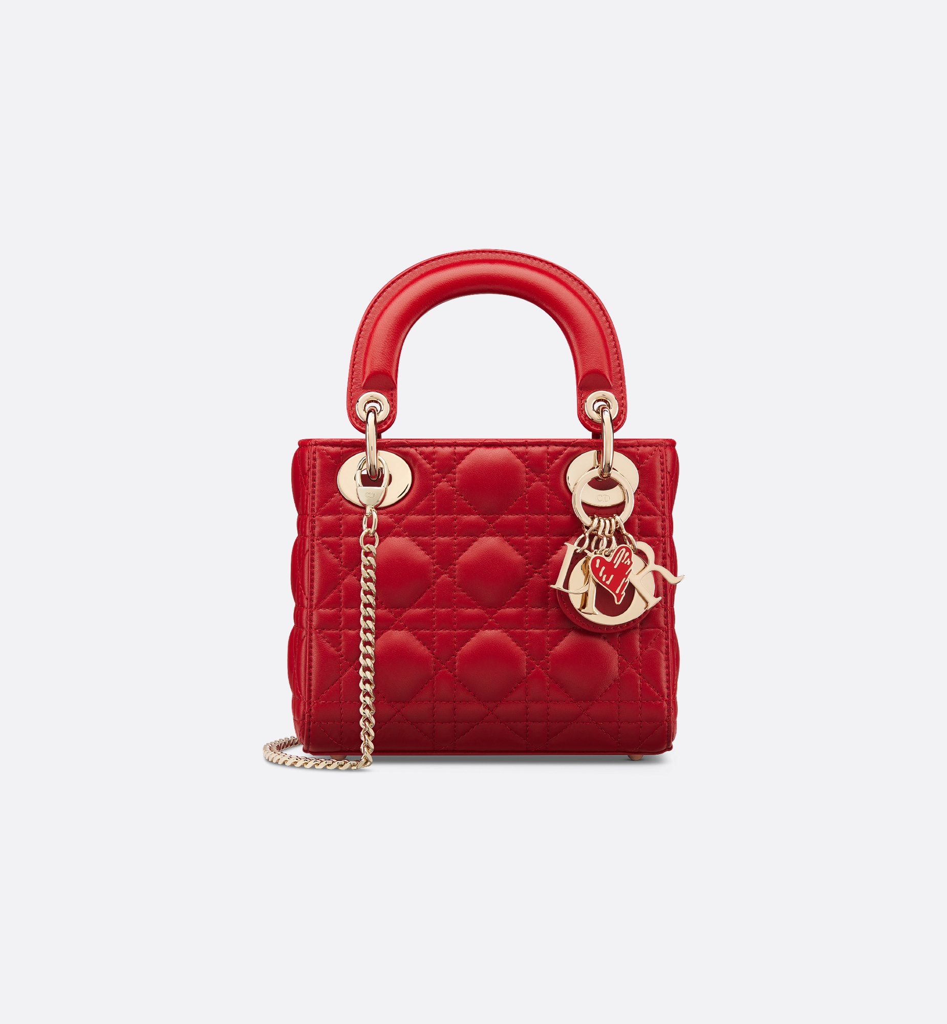 Dioramour Mini Lady Dior Bag - 1
