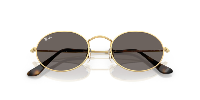 Ray-Ban OVAL FLAT LENSES outlook