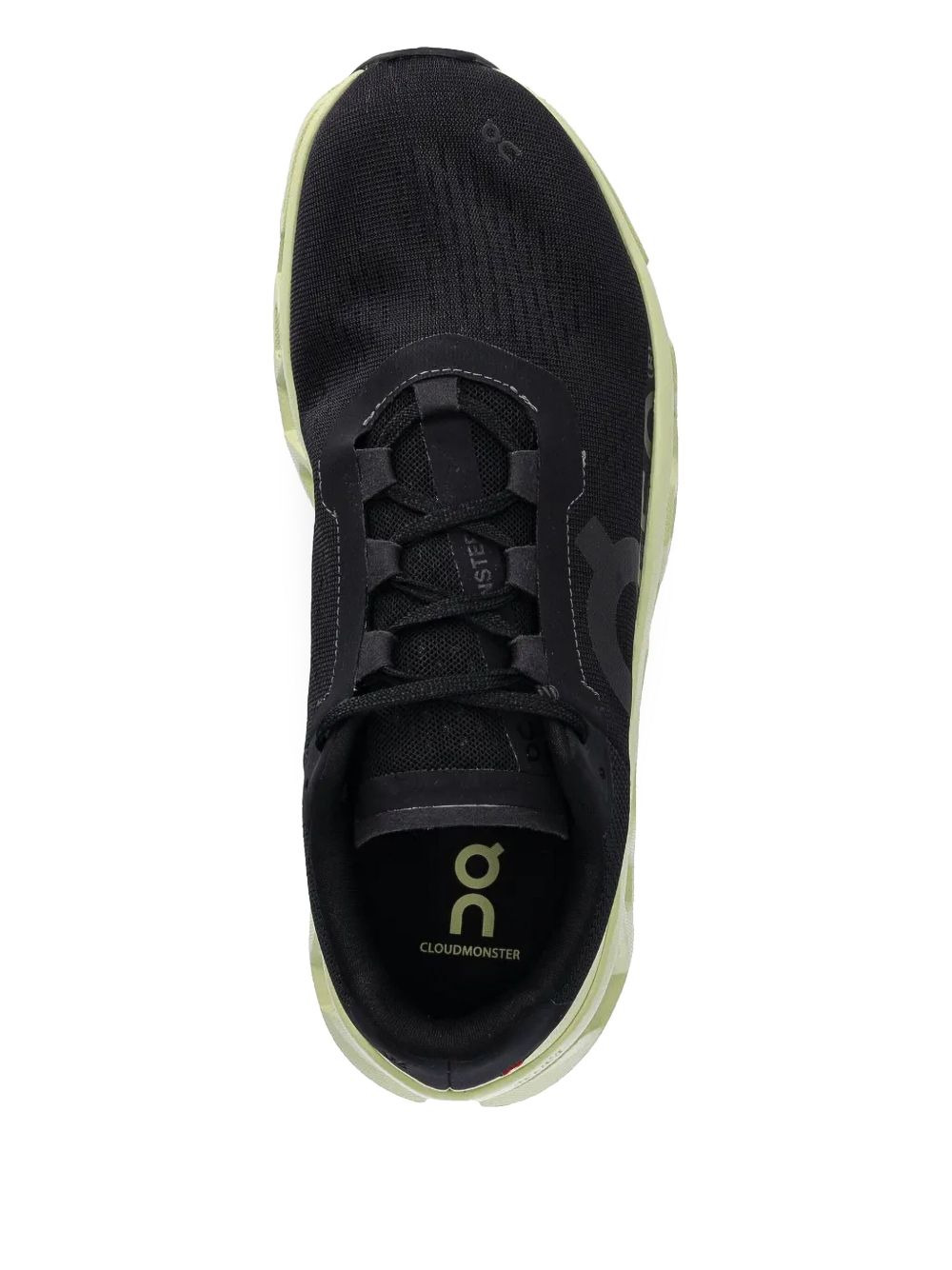Monster Acacia "Black" - 4