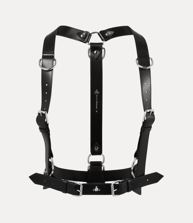 EQUESTRIAN HARNESS 1