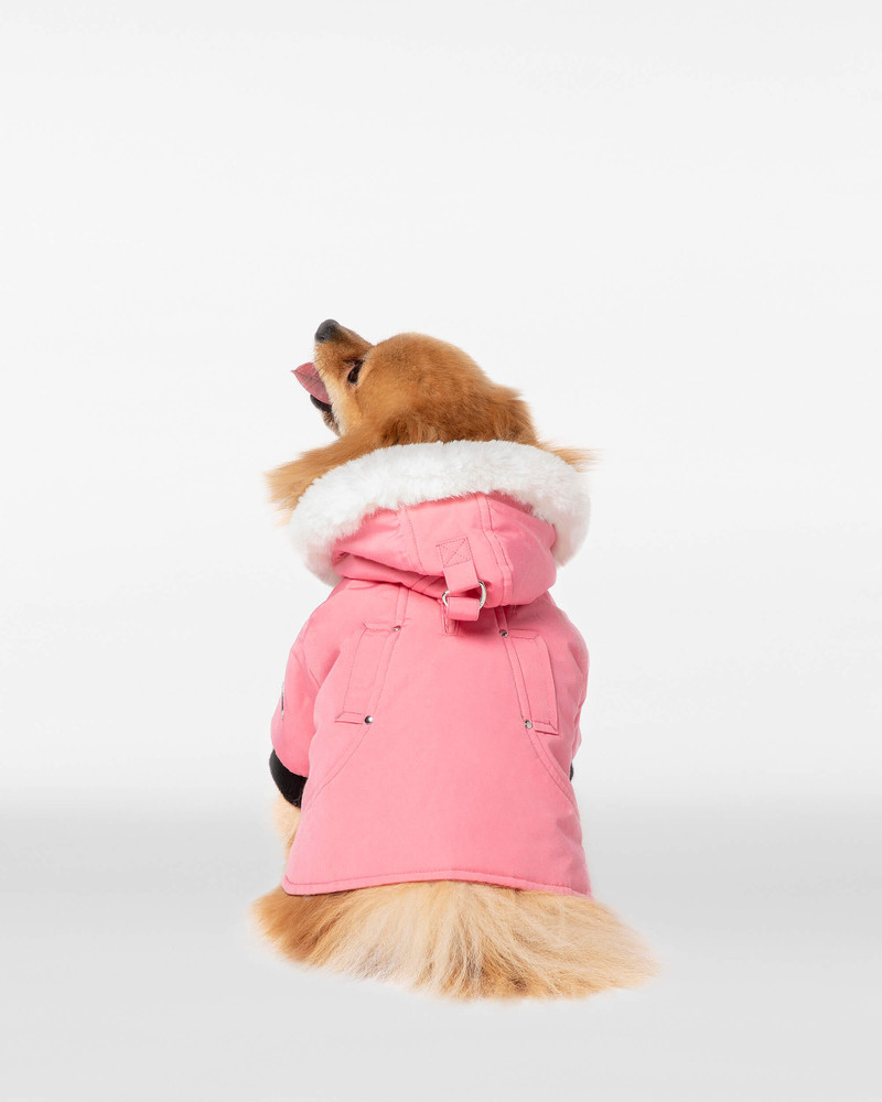 POOCH PARKA 3